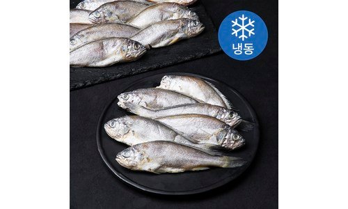 조기 망설일수록 나만 손해인 뿜뿜뿜 상품 TOP9