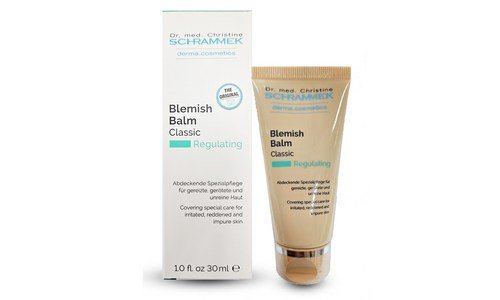 슈라멕비비 합리적인 당신을 위한 마음에 드는 구매가이드