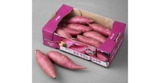 꿀고구마 후회하지 않을 쇼핑포인트! 순위 구매가이드