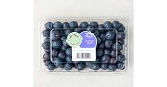 블루베리 꼭!! 확인하세요!! 진짜 좋은 상품 고르는법