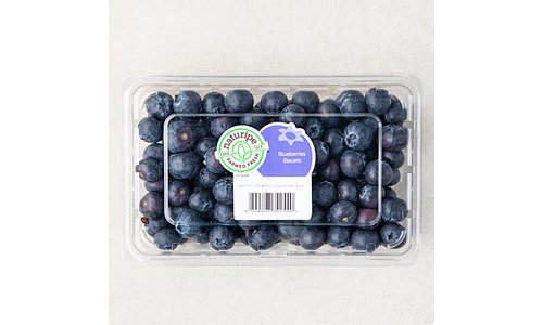 블루베리 꼭!! 확인하세요!! 진짜 좋은 상품 고르는법