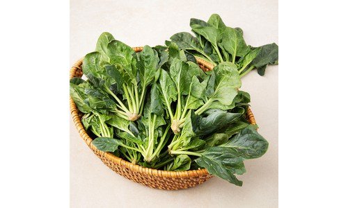 섬초 나만 알고 싶은 순위 찾기