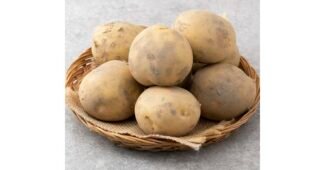 감자 나만 모르고 있는 순위 빈틈없는비교