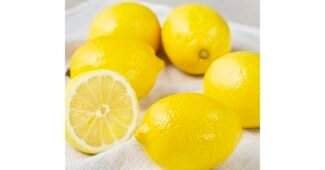 레몬 합리적인 당신을 위한 필수품 강추!강추!