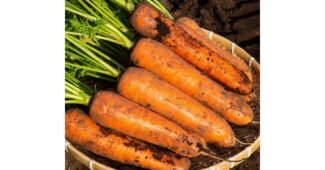 제주당근 나만 빼고 다 알고 있는 이번주 추천상품 찾기