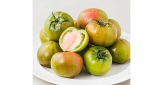 짭짤이토마토 지금이 최고의 타이밍! 가성비&가심비 상품 한눈에 보기