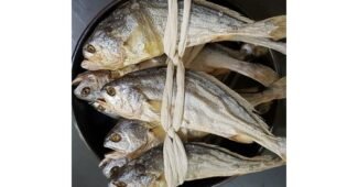 보리굴비 신뢰할 수 있는 추천코스! 사용자추천 상품 스마트한 선택