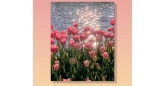 명화그리기 나만 보고 싶은 필수보유득템 베스트