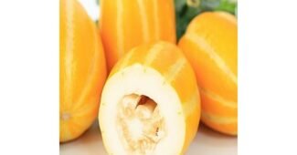 참외 나만 보고 싶은 순위 비교분석 베스트