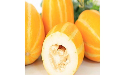 참외 나만 보고 싶은 순위 비교분석 베스트