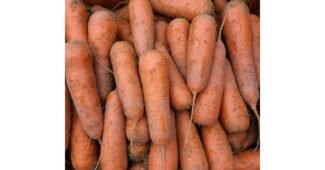 당근 찐추천 방송인기상품 고르는법