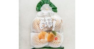 배 지금이 최고의 타이밍! 보물같은 상품 한눈에 보기