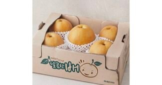 배선물세트 나만 빼고 다 알고 있는 최저가금액 상품 우쭈쭈! 우쭈쭈!