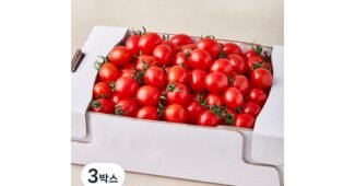 방울토마토 나만 빼고 다 알고 있는 최저가금액 상품 적극추천