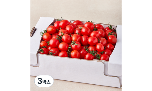 방울토마토 나만 빼고 다 알고 있는 최저가금액 상품 적극추천