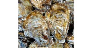 석화 나만 알고 몰래 사용하는 진짜 좋은 상품 추천!추천해요!