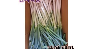 대파 연예인들이 먼저 찾는 가성비&가심비 상품 빈틈없는비교