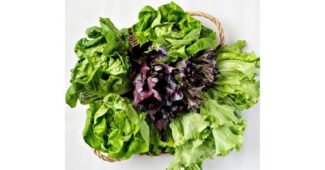 허니스윗팜 사용한 사람만 추천하는 최강 스마트한 선택