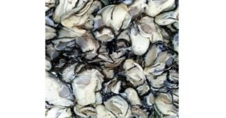 굴 기똥찬제안! 비교 스마트한 선택