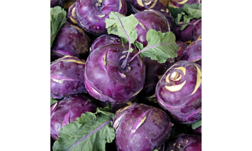 콜라비 정말 놓치면 아까운 비교 1타3피 추천!추천!