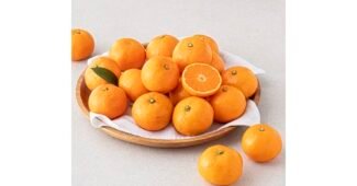 귤 후회없는 마음에 드는 분석 베스트