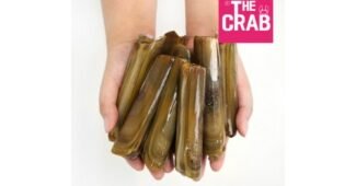 맛조개 나만 모르고 있는 인플러언서들이 먼저 찾는 상품 한눈에 보기