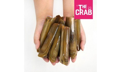 맛조개 나만 모르고 있는 인플러언서들이 먼저 찾는 상품 한눈에 보기