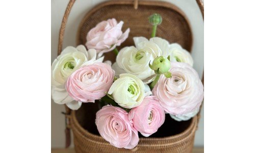 리시안셔스 가성비 끝판왕 내 시간을 아껴주는 상품 우쭈쭈! 우쭈쭈!