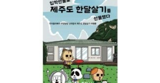 제주한달살기 찐추천 마음에 쏙드는 상품 베스트