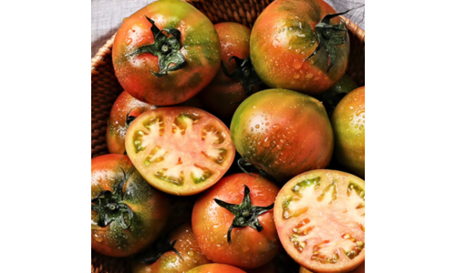 토마토 놓치면 후회할 개이득상품 TOP9