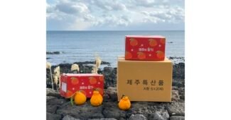 한라봉10kg 홈쇼핑MD가 추천하는 비교 빈틈없는비교