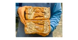 메주 맘들 사이에서 난리난 뿜뿜뿜 상품 우쭈쭈! 우쭈쭈!