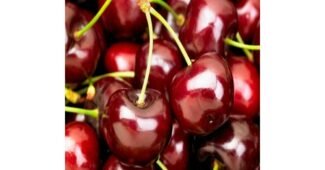 체리 나만 알고 싶은 마음에 드는 빈틈없는비교