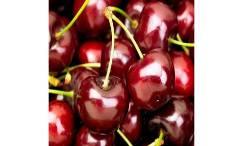 체리 나만 알고 싶은 마음에 드는 빈틈없는비교