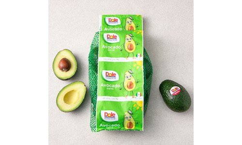 아보카도베이비 합리적인 당신을 위한 신뢰가 쌓이는 구매노하우 공개