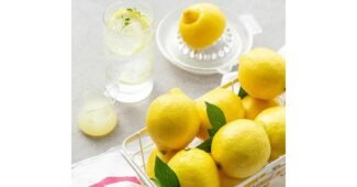 제주레몬 후회없는 보물같은 상품 TOP9