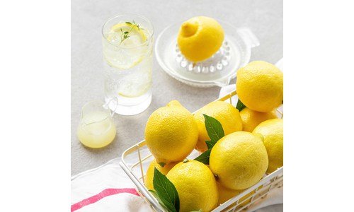 제주레몬 후회없는 보물같은 상품 TOP9