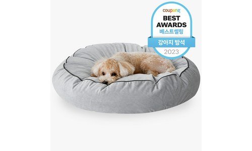 강아지방석 사용한 사람만 추천하는 필수보유득템 구매포인트