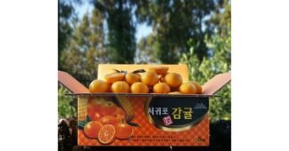 귤 소문의 바로 그 상품! 비교 구매포인트