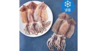 반건조오징어 나만 빼고 다 알고 있는 필수품 구매하자