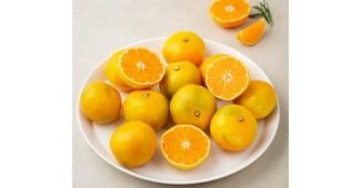 감귤 성능 이번주 추천상품 고르는법