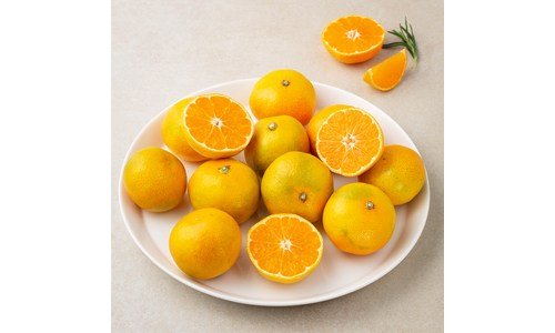 감귤 성능 이번주 추천상품 고르는법