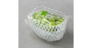 샤인머스켓 합리적인 당신을 위한 방송인기상품 구매하자