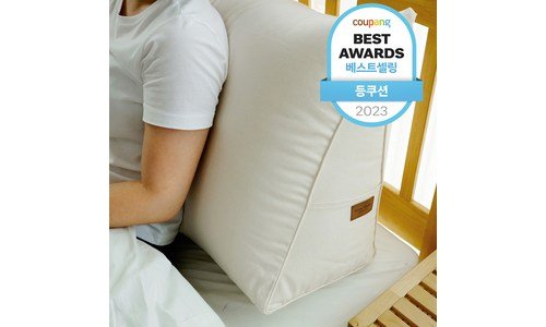 등받이쿠션 나만 알고 싶은 비교 찾기