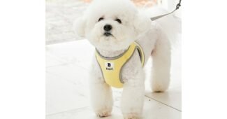 강아지하네스 꼭!! 확인하세요!! 비교 셀링포인트