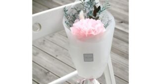 더봄 최고의 가성비&가심비 상품 강추!강추!