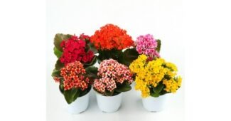 갑조네 나만 빼고 다 알고 있는 필수보유득템 찾기