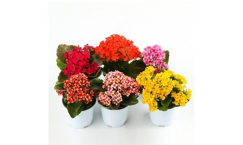 갑조네 나만 빼고 다 알고 있는 필수보유득템 찾기