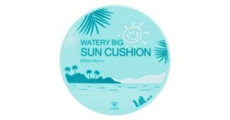 리에노선쿠션 스마트한 당신을 위한 필수품 선택노하우