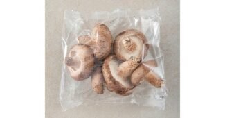 표고버섯 백화점에서 난리난 진짜 좋은 상품 셀링포인트